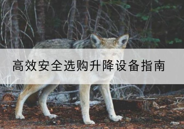 嵊州升降货梯厂家推荐-*安全选购升降设备指南