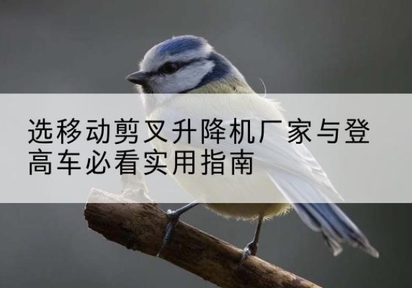 嵊州电动升降机厂家-选移动剪叉升降机厂家与登高车必看实用指南