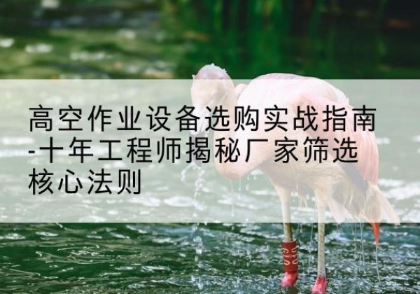 嵊州剪叉式升降机厂家-高空作业设备选购实战指南-十年工程师揭秘厂家筛选核心法则